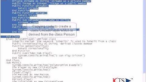VB NET Polymorphism | Basic Programming Concepts