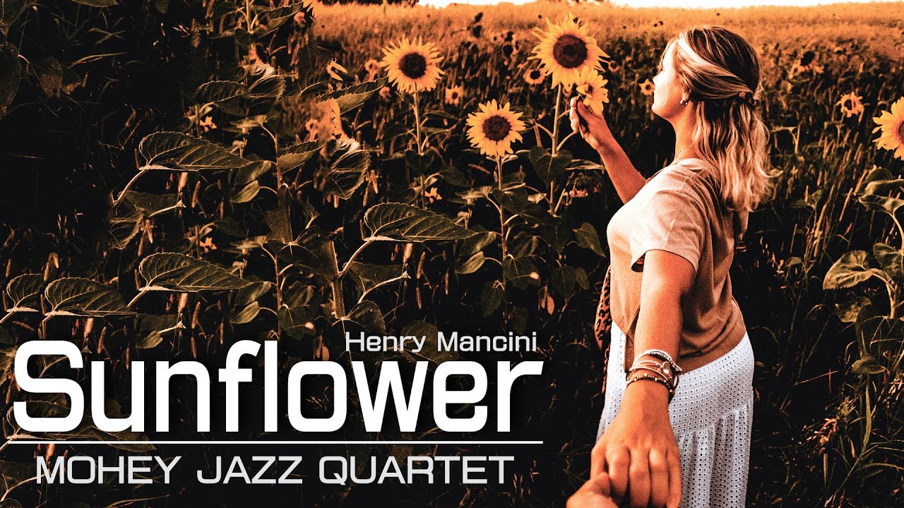 倉敷JAZZ] Sunflower (ひまわり) / MOHEY JAZZ QUARTET - YouTube
