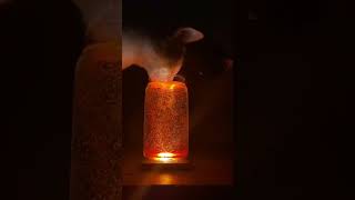 Cats Mesmerized by Glowing Turmeric Water Trend