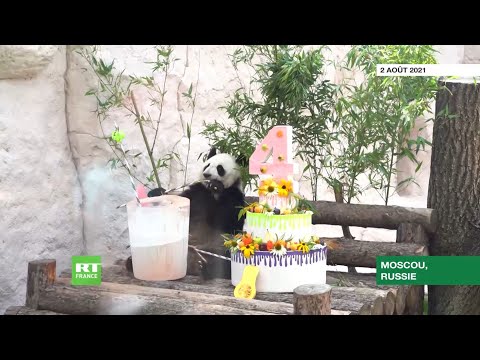 Vidéo: Comment Fonctionne Le Zoo De Moscou