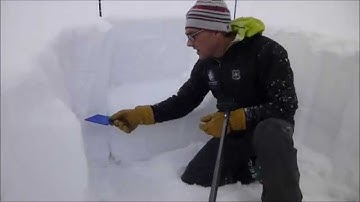 Bacon Rind: Unstable Surface Hoar - 28 Dec 14