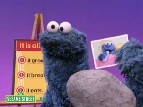 Muppet Voice Comparisons - Cookie Monster