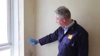 How to treat mould and prevent it in the future