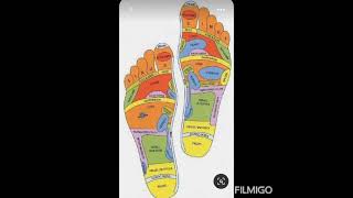 Barefoot Walking & Yoga --- 75Th Independence Days Special --- Unknown Things About India