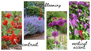6 Plants = 1 Gorgeous Spring Garden Plan