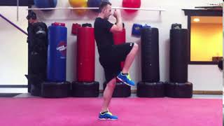 Basic Front Kick - Side View 4 steps