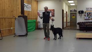 How to understand your dog! -Dog Training with America's Canine Educator