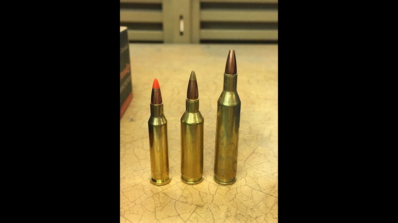 and 17 hornet class of ammo and the 204 ruger, 223, and 22-250 class... 