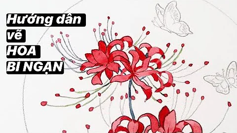 Hướng dẫn vẽ Hoa Bỉ Ngạn, Hoa Sen, Hoa Tử Đằng | How to draw flower