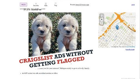 How to Post on Craigslist Ads Without Getting Flagged 2023 - { Puppies Ads }