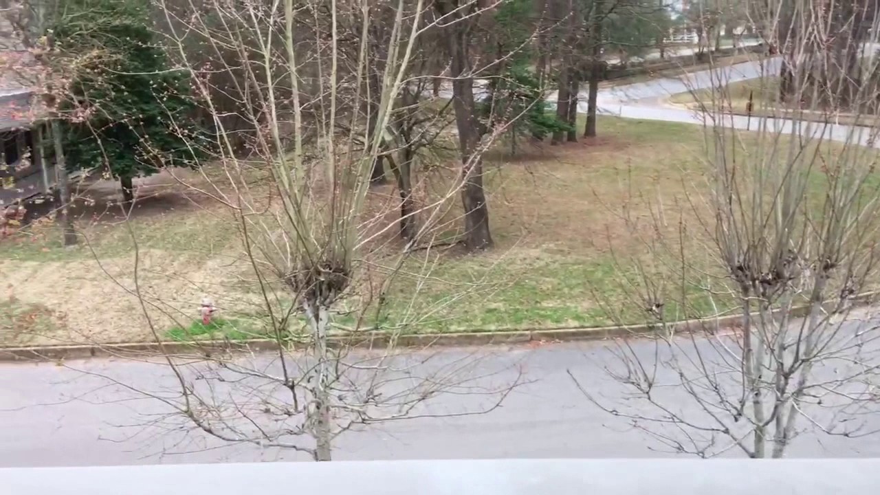 3922 Charleston Park, Tyler, TX YouTube