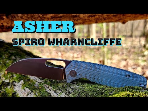 One Mean Looking Asher Spiro Wharncliffe!