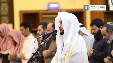 ( وما خلقت الجن والإنس إلا ليعبدون ) تلاوة ماتعة لخواتيم سورة الذاريات للشيخ محمد الحافي