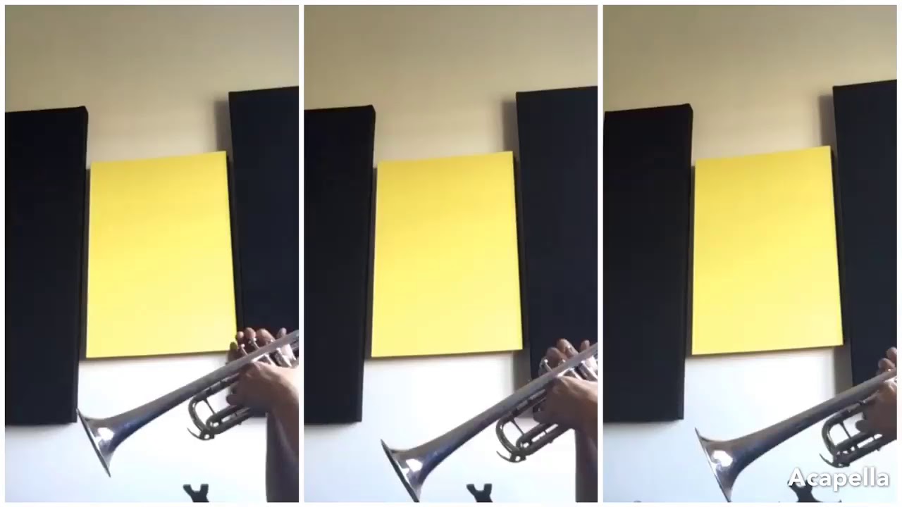 Strauss Ein Heldenleben Battle Call Trumpet Excerpt