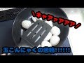 【検証】玉こんにゃくが恐怖の悲鳴をあげる？！【おもしろ話題】