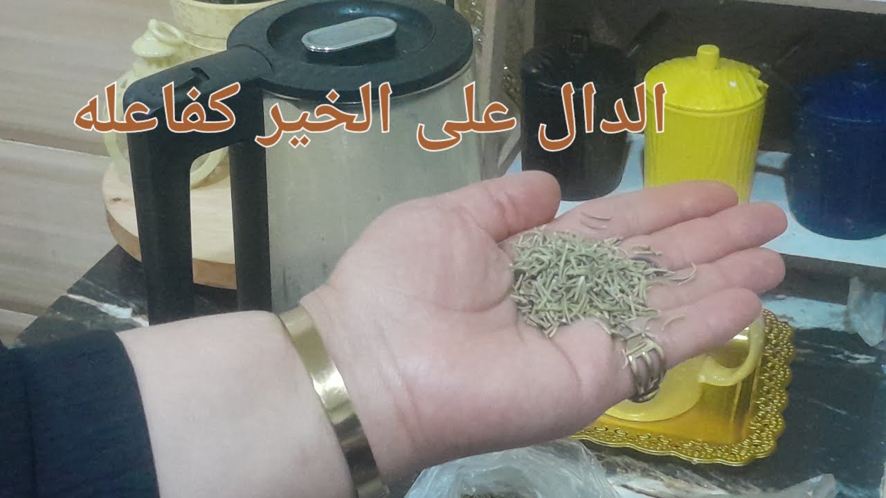 عشبة  واحدة سحرية في دارك وانت لاخبر  😭😱 واش راكي تستناي غير جرببها. لوليداتك يالالا  ودعيلي معاك. .