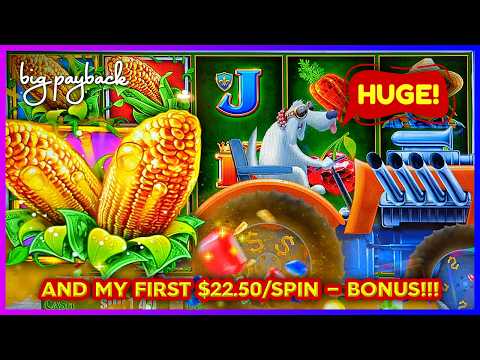 MEGA FEATURE on HIGH LIMIT CASH CROP SLOTS! Huge Win Session!