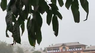 Mama Ahile Dhemaji T