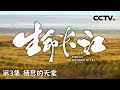 《生命长江》 栖息的天堂：生命之河的流动传奇与文明摇篮 EP03【CCTV纪录】