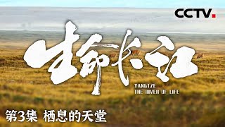 《生命长江》 栖息的天堂：生命之河的流动传奇与文明摇篮 EP03【CCTV纪录】