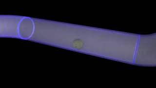 Pipe Leak Detection with Small Ball Technology screenshot 4