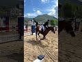 Equestrian showjumping hipismo cavalosminhapaixao equestriagirls