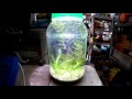 Aquascape Filter