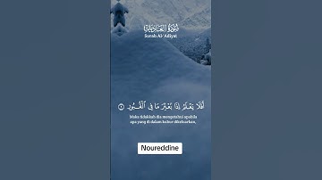 إن الإنسان لربه لكنود 🤲🤲  #اكسبلور #تلاوة_خاشعة #قرآن #سورة_العاديات #خالد_الجليل