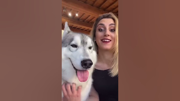 SVELO la mia VERA IDENTITÀ al mio CANE🤭🐶 #dogchallenge #dogreaction #dog #cane #videodivertenti