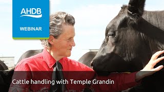 Livestock vue et Transport Housse dure Temple Grandin 