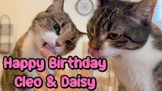 Cleo & Daisy Turn 9! 🎉 - Their Favorite Things...