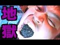蟻1000匹食べてみた