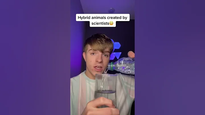 HYBRID ANIMALS CREATED BY SCIENTISTS!! #Shorts