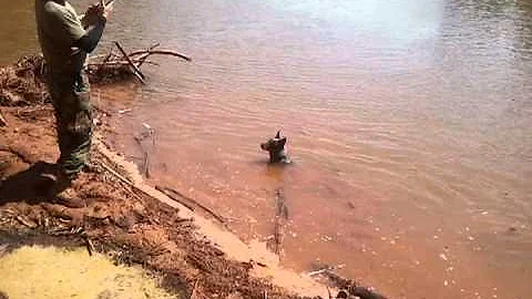 Washita River Monster