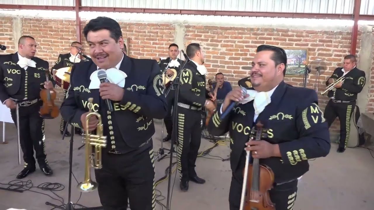LA ENORME DISTANCIA   MARIACHI VOCES DE AYUTLA  4K