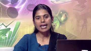 Development of Mathematical Concepts