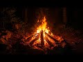 Campfire Sounds in the Forest | Windy Night Ambience for Sleep • Zjarr në Natyr • Për të fjetur