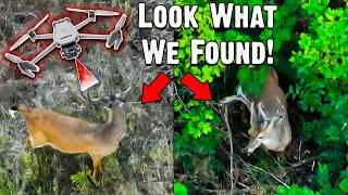 Understanding Deer Movement With A Drone | We Found Our Hit List Buck (830)