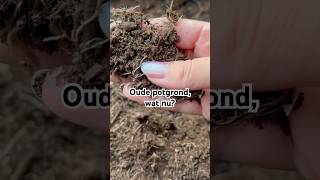 Herfstbladeren In Bloempotten? Kijk Wat Er Na 5 Maanden Gebeurt