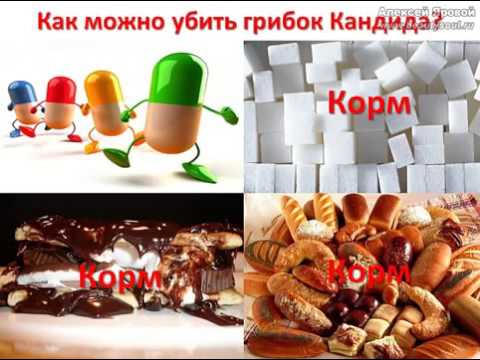 Кандидоз, он же грибок Кандида, он же молочница. Кто такой, с чем едят и как избавиться!