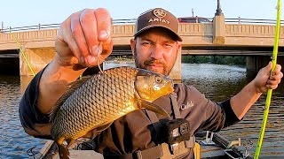 BRIDGE Fishing With MONSTER Live BAIT!!
