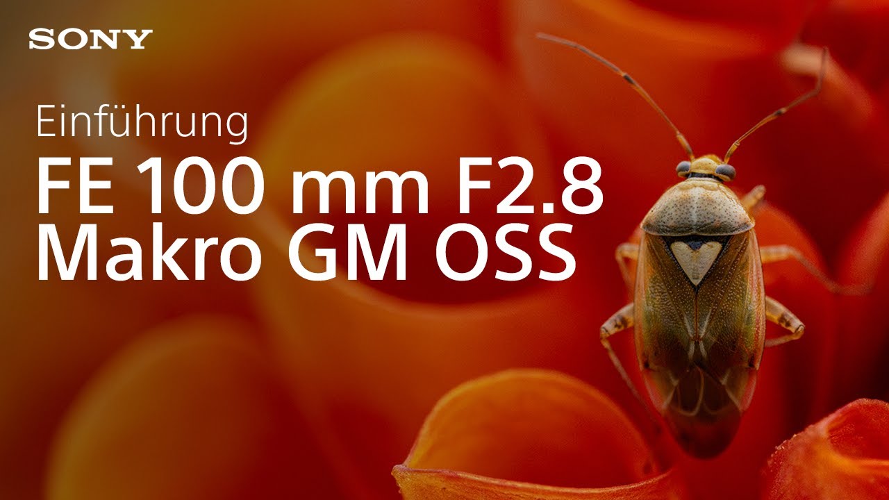Wir stellen vor: das Sony FE 100 mm F2.8 Macro GM OSS | Vollformat-Makroobjektiv