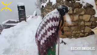 Sketch Kabyle Original Jan 2023 Des Deux Grands Comédiens Sibous Et Djamel Du Village