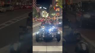 IMG 7752