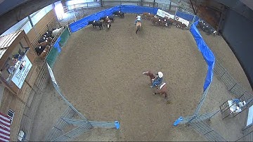 Big Sky Ranch Sorting Saddle Series Finals - #3 - Round #1 - Ride #19