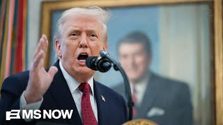 ‘Take him seriously and literally’: Fmr. Trump staffer excoriates admin. for midterm election ‘joke’