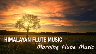 Himalayan Flute Music | Morning Flute Music | Meditation Music | (बाँसुरी) Aparmita Ep. 52