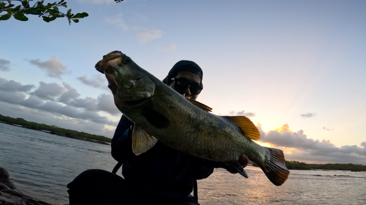 モンスター魚が潜む川