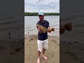 Nice flathead catfish