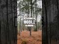 🇺🇸 What To Do in Mobile, Alabama